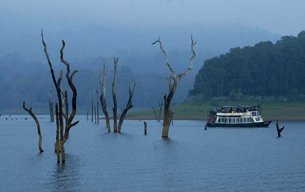 Munnar- Thekkady Students Tour Package