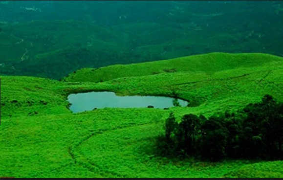 Munnar-Wayanad-Students Tour Package