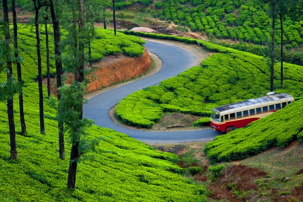 Cochin-Munnar-Thekkady-Alleppey Students Tour